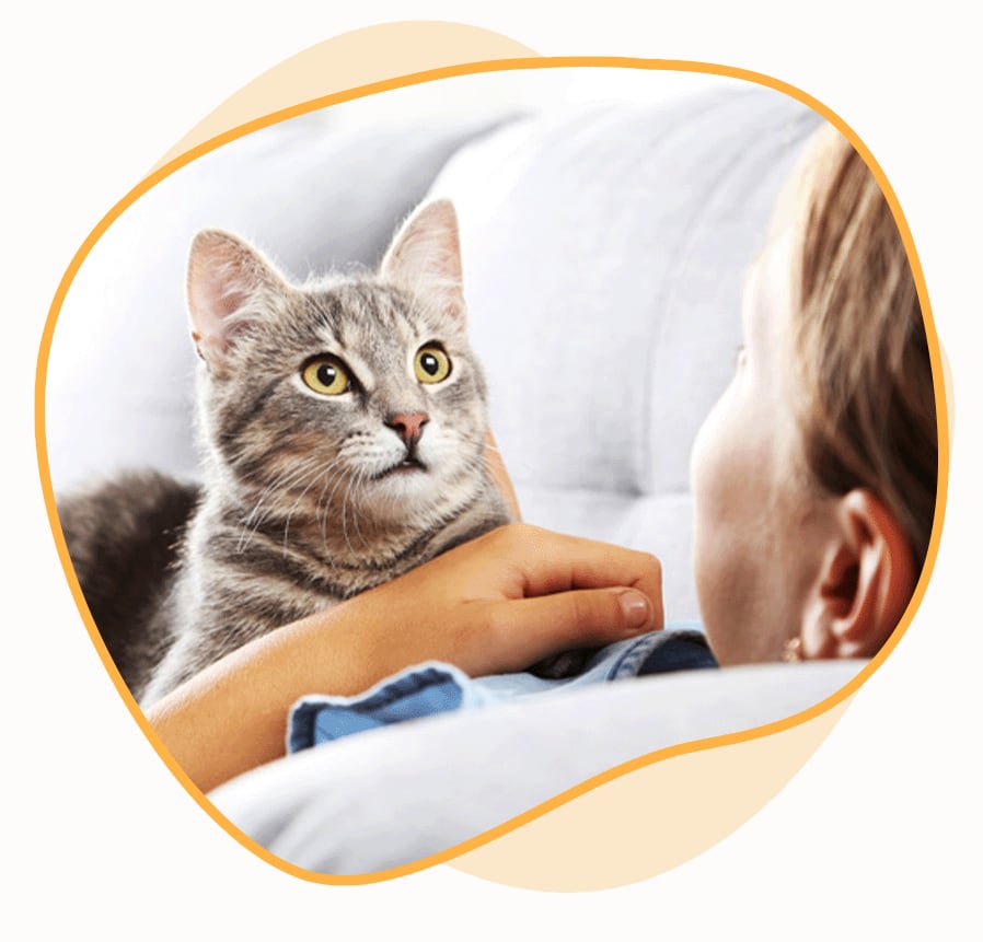 Fetch! Pet Care